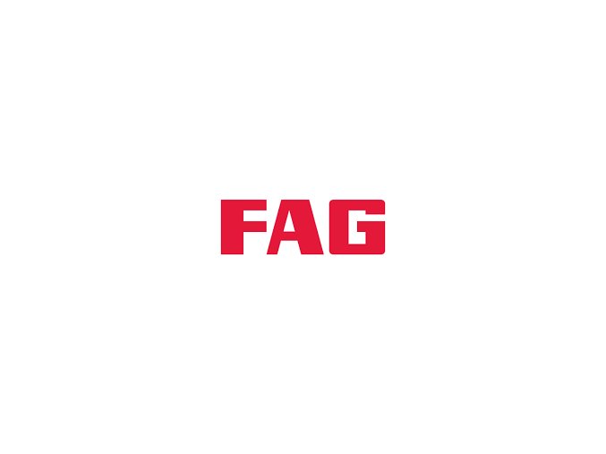 náhradní díl (FAG 6007-2RSR)