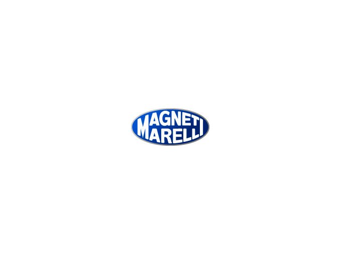 Palivové čerpadlo (MAGNETI MARELLI MAM00015)