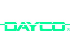 Pohon rozvodu (DAYCO 941024)