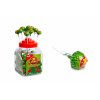 1013 X-POP WATERMELON (6x100ksx18g)