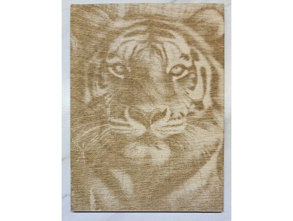 Portrét vypálený do dřeva