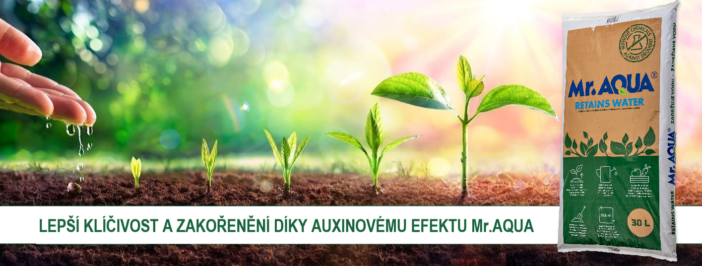 Auxinový efekt Mr.AQUA