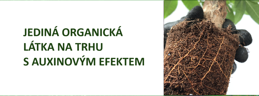 Mr.AQUA je jediná organická látka s auxinovým efektem