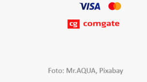 Comgate VISA