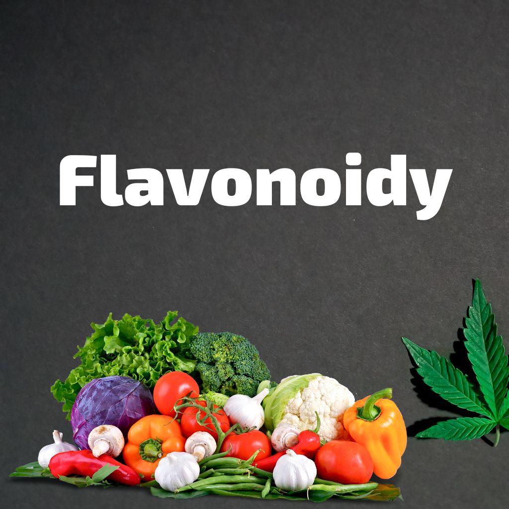 Co jsou flavonoidy?
