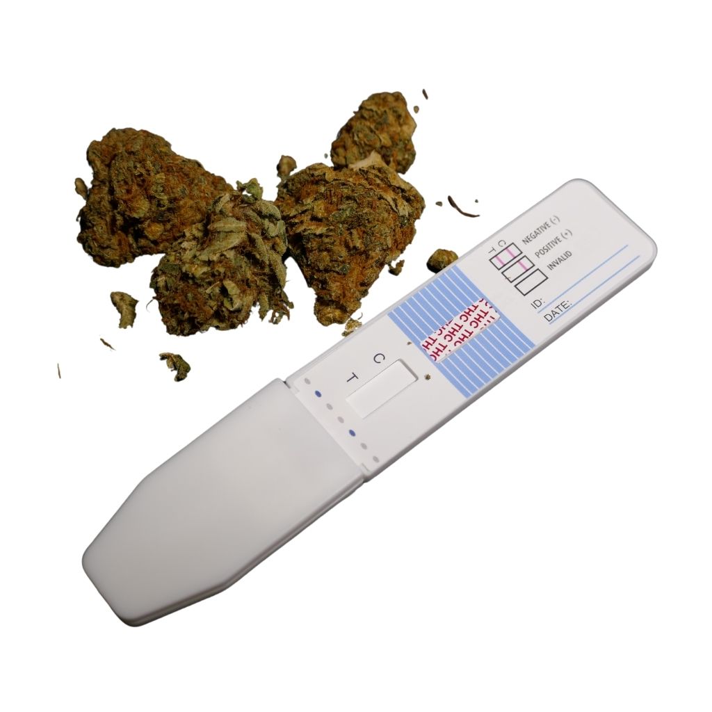 Jak dlouho je THC v krvi, moči a slinách?