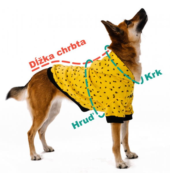 Ako správne zmerať psa pre výber mikiny Mr.Dog