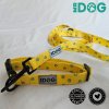 Set vodítka (150cm) a obojku MrDog – žiarivý žltý komplet pre každodenné prechádzky