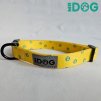 Set vodítka (150cm) a obojku MrDog – žiarivý žltý komplet pre každodenné prechádzky