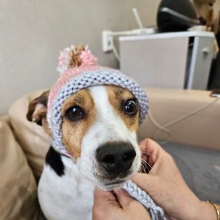 Zima ešte nepovedala posledné slovo! 🐶❄️ Prečo by mala byť zima len o hrubých kabátoch pre ľudí? Táto ručne pletená,...