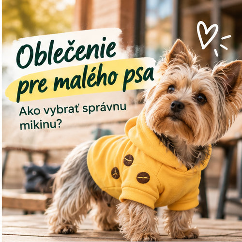 Oblečenie pre malého psa: ako vybrať správnu mikinu
