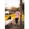 MR Dog 8388
