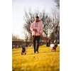 MR Dog 8439