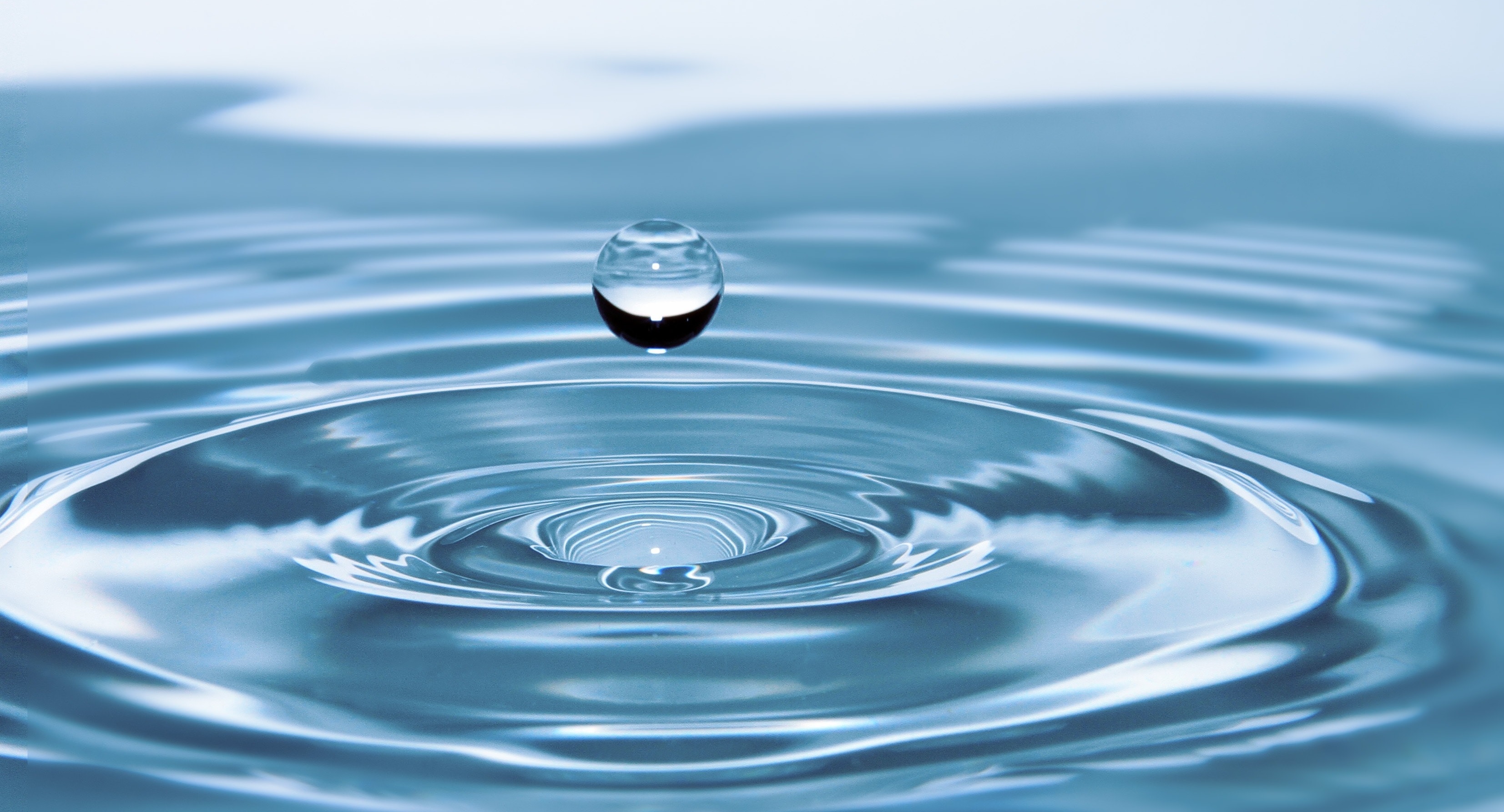 aaa