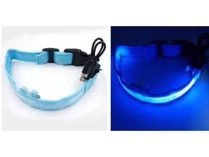 19288 usba led obojek dobra viditelnost modra m