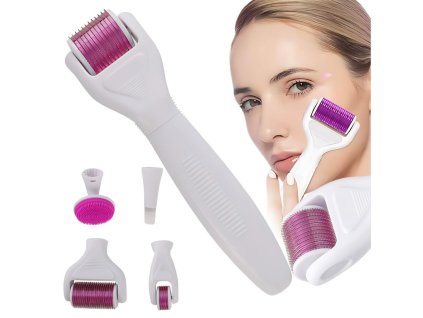 Derma roller pro mikrojehličkovou mezoterapii obličej krk tělo sada 6 v 1 (Velikost univerzální)
