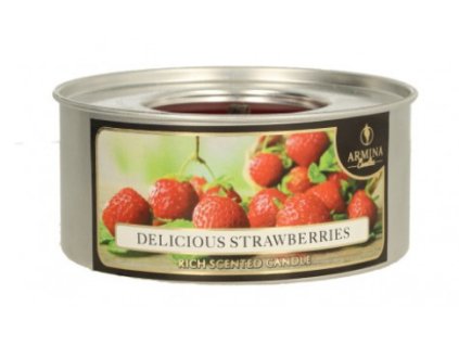 swieca pochodnia ogrodowa w p 86959