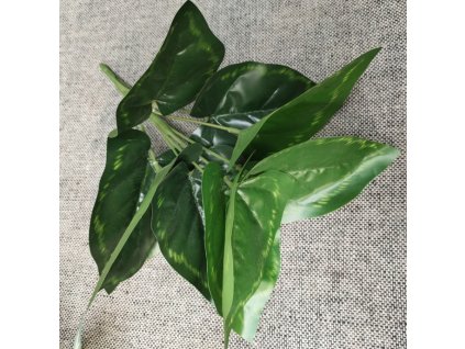 liscie difenbachia 9 lodyg 36 89388