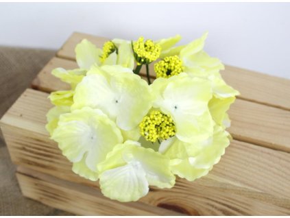 glowka kwiatowa hortensja 16 95511