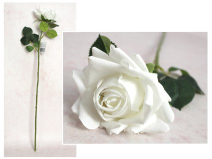 kwiat roza pojedyncza real t 112812