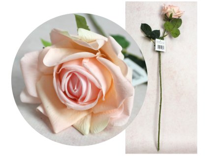 kwiat roza pojedyncza real t 112813