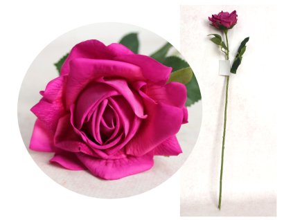 kwiat roza pojedyncza real t 112811