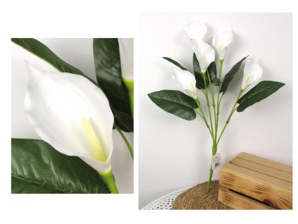 bukiet kalia piankowa wys 61 100677