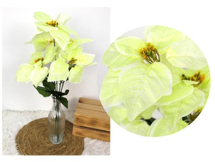 bukiet gwiazda betlejemska p 101995