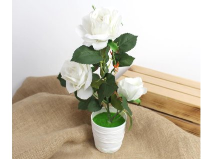 kwiat roza w plastikowej don 104165