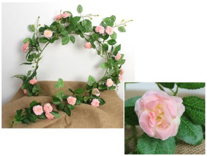 girlanda bluszcz begonia dl 104244