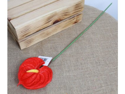 kwiat pojedynczy anturium gu 104490