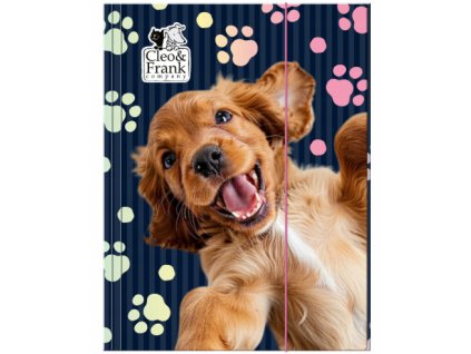 c teczka z gumka a4 cleo i f 107746