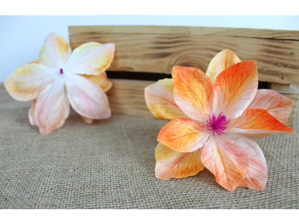 glowka kwiatowa magnolia 3d 109708