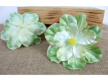 glowka kwiatowa magnolia 3d 109739