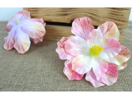 glowka kwiatowa magnolia 3d 109741