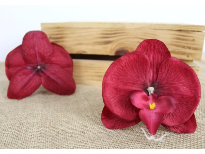 glowka kwiatowa storczyk 12 109699