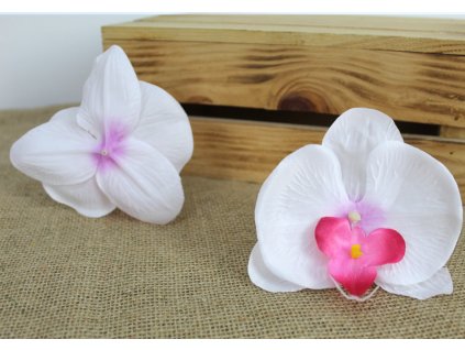 glowka kwiatowa storczyk 12 109705