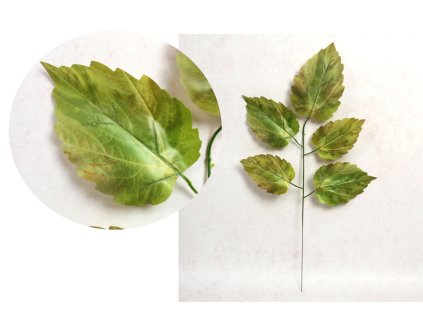 lisc silikonowy 1 ramienny o 110663