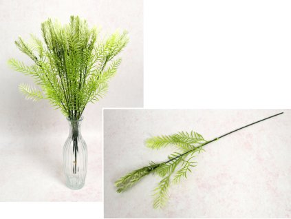 galazka asparagus wys 41 cm 110392