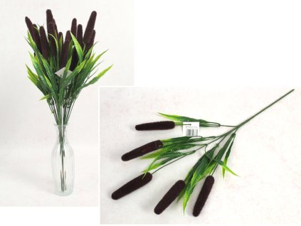 galazka trzcina wodna z palk 110384