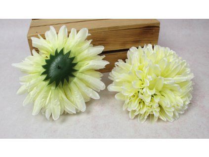 glowka chryzantema 19x10 cm 111104