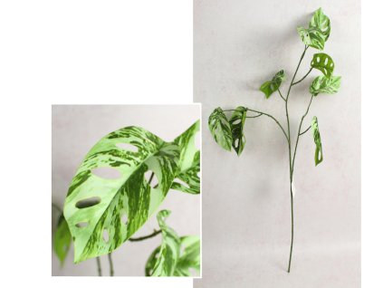 galazka monstera wys 78 cm 3 111590