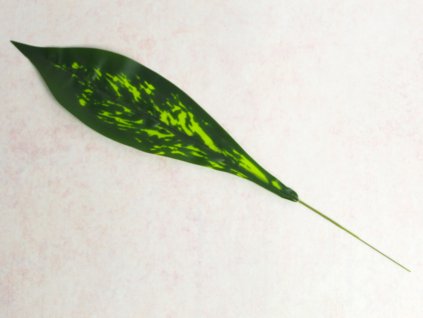 lisc kalatea silikonowy na p 111605