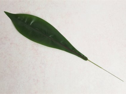 lisc kalatea silikonowy na p 111586