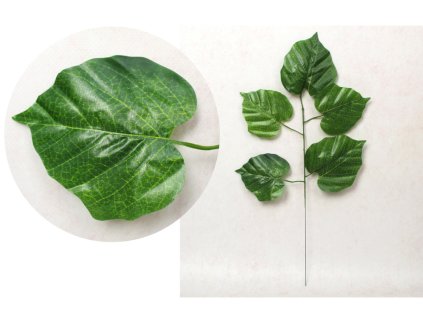 lisc 1 ramienny 52 cm 5 lisc 112607