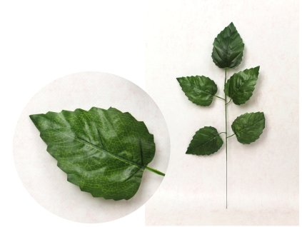 lisc pojedynczy 55 cm 5 lisc 112629