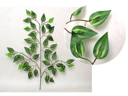 lisc fikus benjamin prazkowa 112630