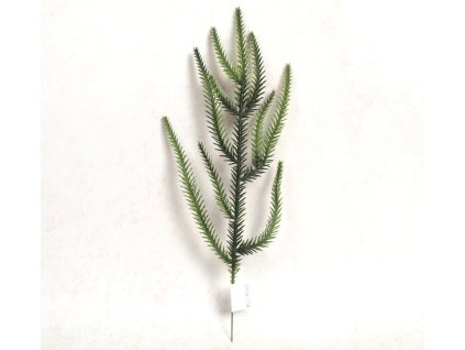 galazka sosna iglasta siliko 113267