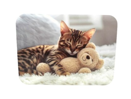 mata stolowa 40x30 cm spiacy 112680