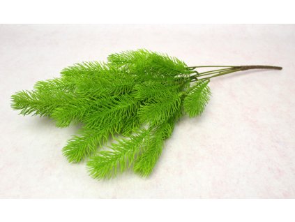 galazka sosna zielona 113493